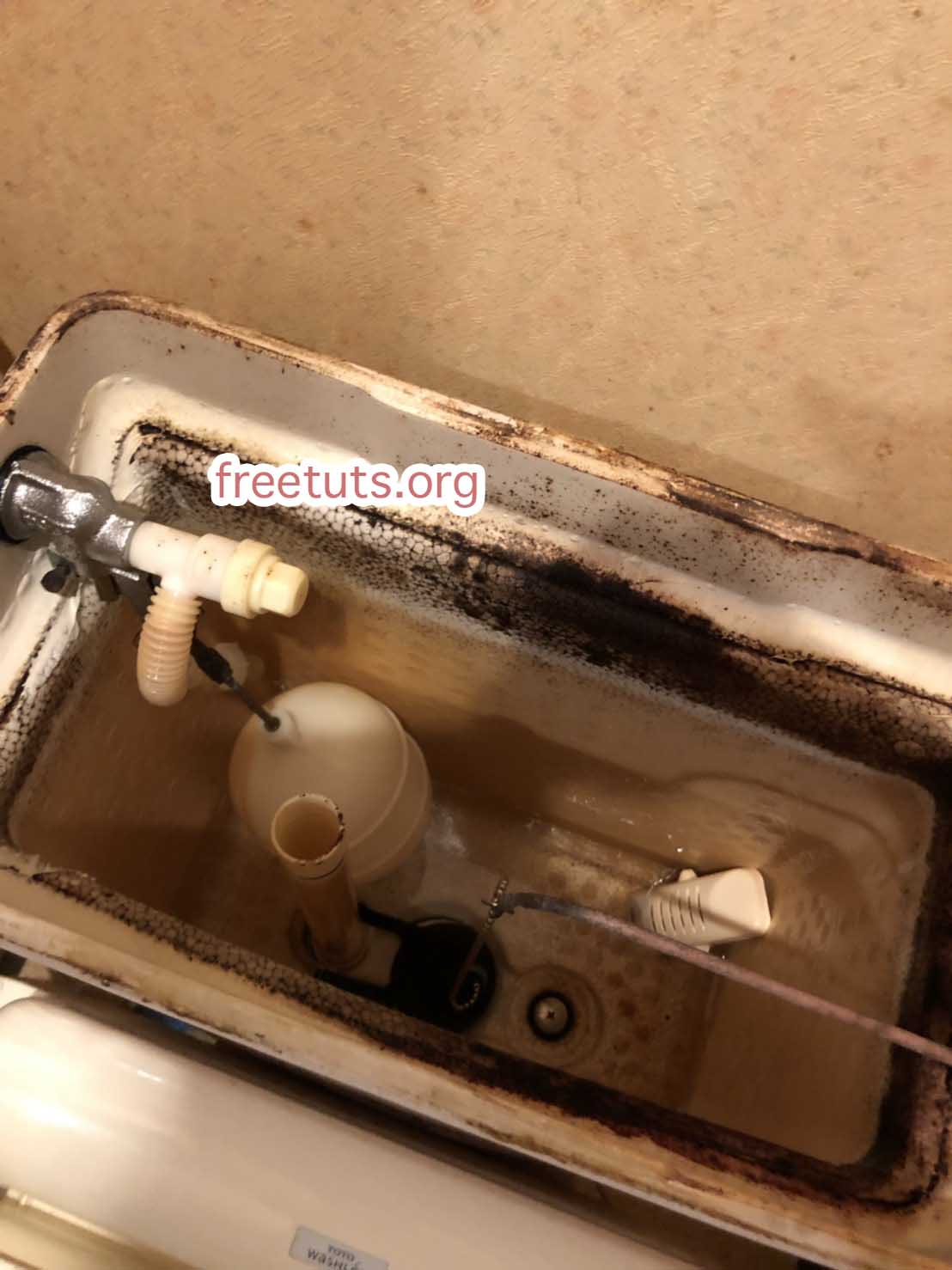 大阪市中央区